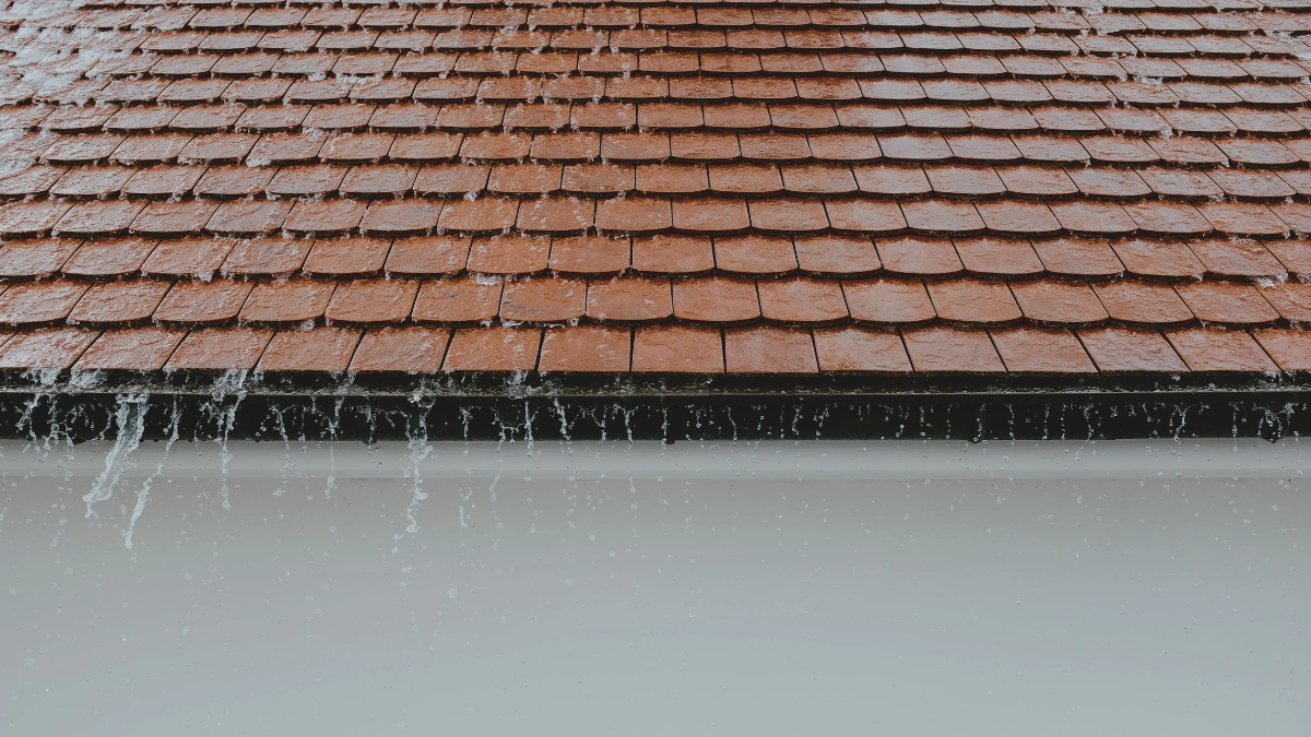 Gutter Leaks